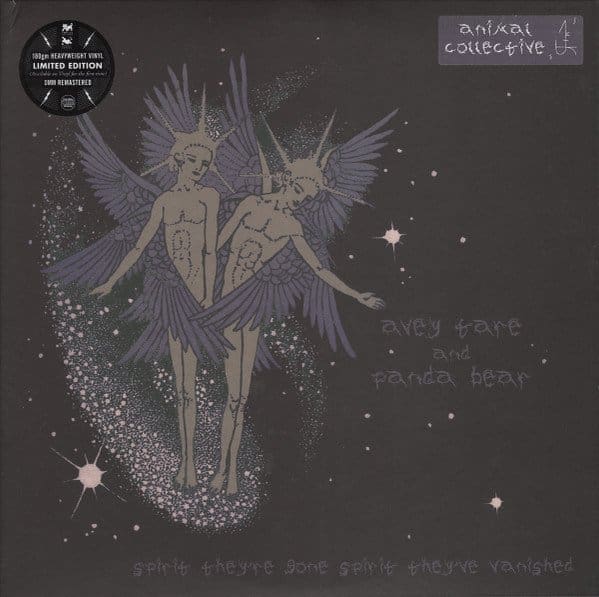 Animal Collective - Spirit They're Gone, Spirit They've Vanished