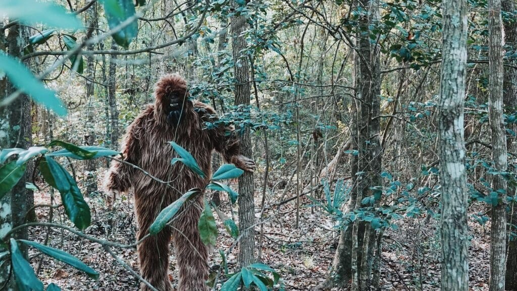 In Pursuit of Bigfoot
